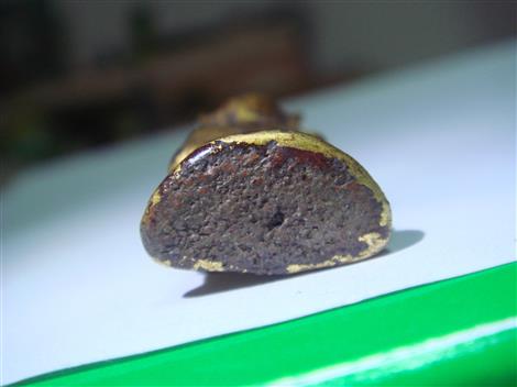 พระวัดเชิงท่า ทาชาดแดง ปิดทอง พิมพ์พระพิฆเนศ สวยๆ (เคาะเดียว) 380 บาท