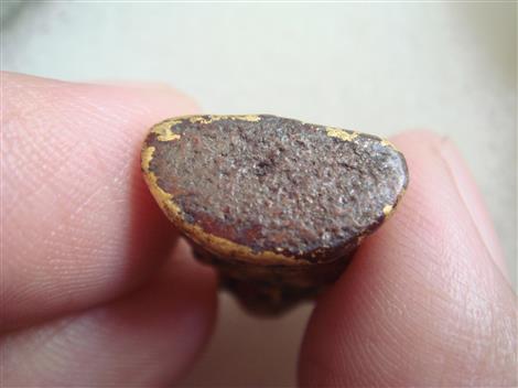 พระวัดเชิงท่า ทาชาดแดง ปิดทอง พิมพ์พระพิฆเนศ สวยๆ (เคาะเดียว) 380 บาท