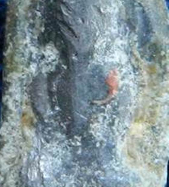 พระเนื้อตะกั่วสนิมแดงไขขาว พิมพ์จิ๋ว 