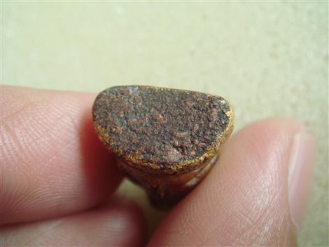 พระวัดเชิงท่า ทาชาดแดง ปิดทอง พิมพ์พระสังกัจจายน์ สวยๆ (เคาะเดียว) 380 บาท (องค์ที่ 2)