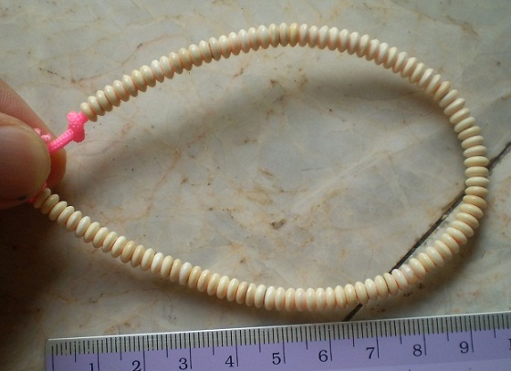 งาช้างแท้  แว่นโดนัท 5.5 มิล จำนวน 100  แว่น  เคาะเดียว 