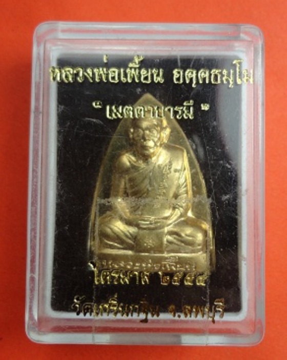 เหรียญเตารีดหลวงพ่อเพี้ยน
