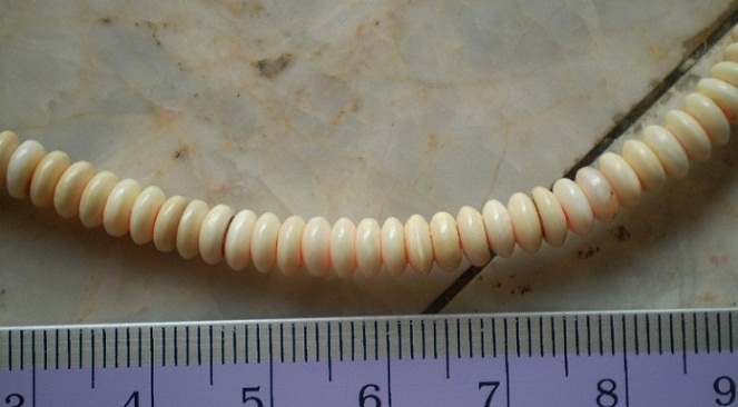 แว่นงาช้างแท้  ขนาด 5.5 มิลจำนวน 100 แว่น  เคาะเดียว 