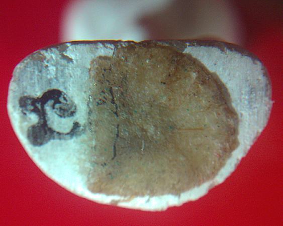 หนุมาน เนื้อผงหินเขี้ยวหนุมาน ก้นอุดผงวิเศษ ปี2543 หลวงพ่อพูล วัดไผ่ล้อม