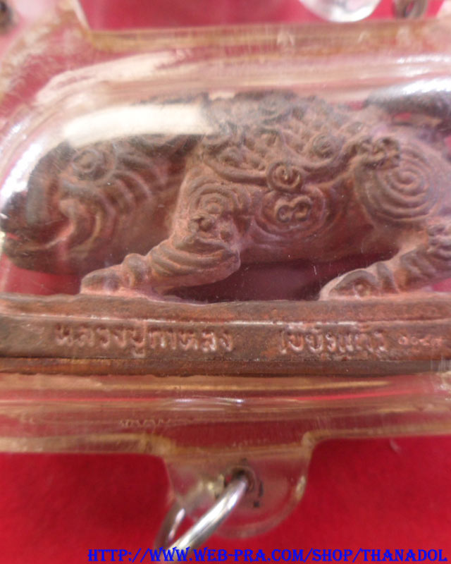 หลวงปู่กาหลงเขี้ยวแก้ว วัดเขาแหลม พญาหมูพลิกแผ่นดิน (พญาหมูเผือกเขี้ยวแก้ว) เนื้อนวโลหะขอมพันปี มีโค