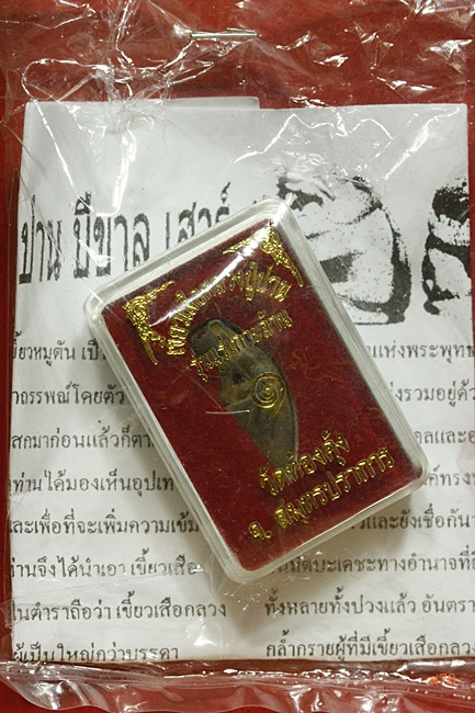 เสือหลวงปู่ปาน วัดท้องคุ้ง รุ่นแร่เกาะล้าน พร้อมกล่องเดิม...../2