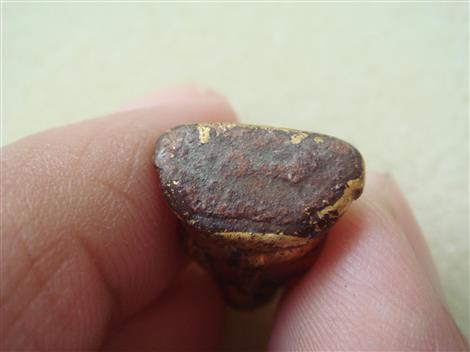 พระวัดเชิงท่า (พิมพ์เล็ก) ทาชาดแดง ปิดทอง พิมพ์พระสังกัจจายน์ สวยๆ (เคาะเดียว) 300 บาท