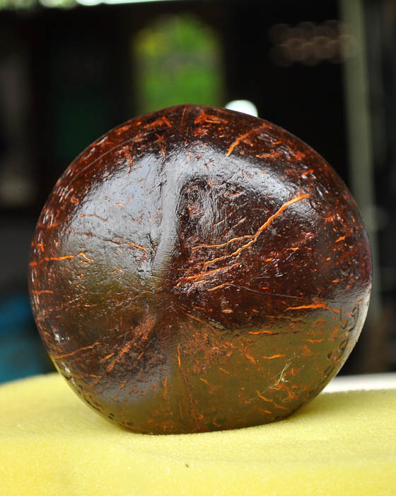 กะลาตาเดียวแกะยันต์ อธิฐานจิตโดยหลวงปู่คำบุ วัดกุดชมภู