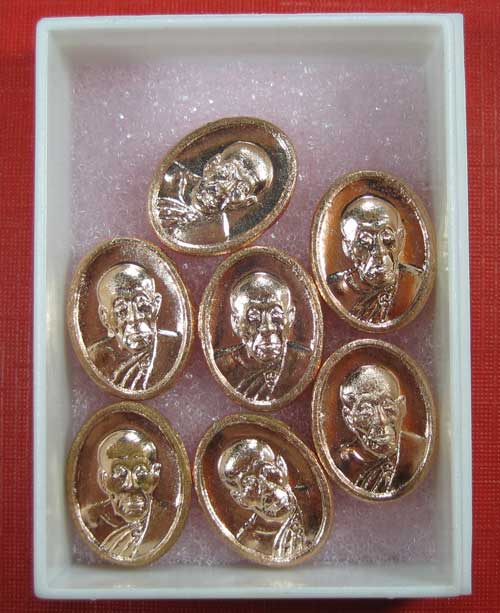 เม็ดแตงเนื้อกระไหล่นากหลวงปู่คำบุ วัดกุดชมภู อุบลราชธานี ( 7 เหรียญ )