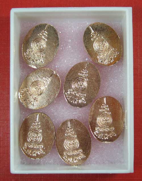 เม็ดแตงเนื้อกระไหล่นากหลวงปู่คำบุ วัดกุดชมภู อุบลราชธานี ( 7 เหรียญ )