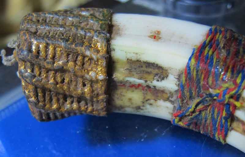 เขี้ยวหมูตัน หลวงปู่กาหลง วัดเขาแหลม จ.สระแก้ว  สภาพใช้