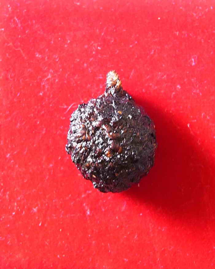 ชานหมากอุปคต รุ่นแรก หลวงปู่คำบุ คุตตจิตโต หายาก