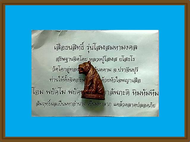 ***เสือโลหะธนสิทธิ์ รุ่นแรก เนื้อทองแดง หลงปู่โสฬส ยโสธโร วัดโคกอู่ทอง ปราจีนบุรี***