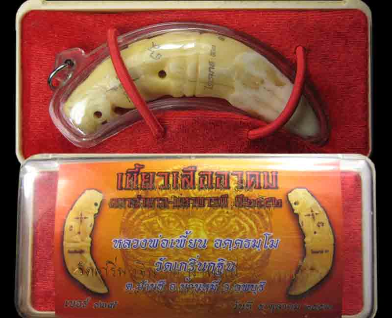 เขี้ยวเสือหลวงพ่อเพี้ยน วัดเกริ่นกฐิน รุ่น2