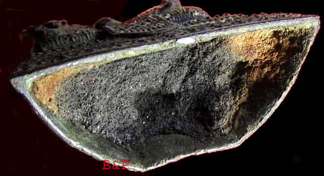 *พระภิกษุณี รัตนะฯ ดูง่ายๆ*