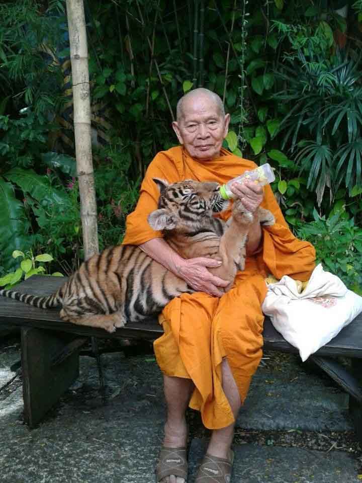 เหรียญเสมารุ่นแรก (ไตรมาส53) หลวงพ่อฟู วัดบางสมัคร จ.ฉะเชิงเทรา ปี2553 เนื้อทองแดง