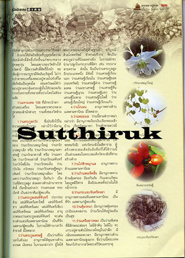 หนังสือ พระหลวงปู่ทวด เนื้อว่าน รุ่นแรก วัดช้างไห้ ดูอย่างไรว่าแท้