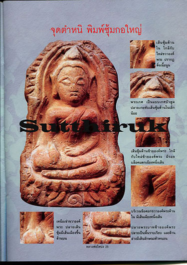 หนังสือ ประวัติและวัตถุมงคลยอดนิยม หลวงพ่อโหน่ง วัดคลองมะดัน จ.สุพรรณบุรี