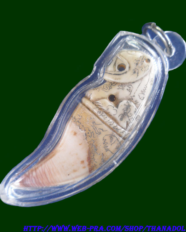 หลวงปู่กาหลงเขี้ยวแก้ว วัดเขาแหลม จ.สระแก้ว เขี้ยวหมีแกะ รุ่นมหาบารมี ปี2548  