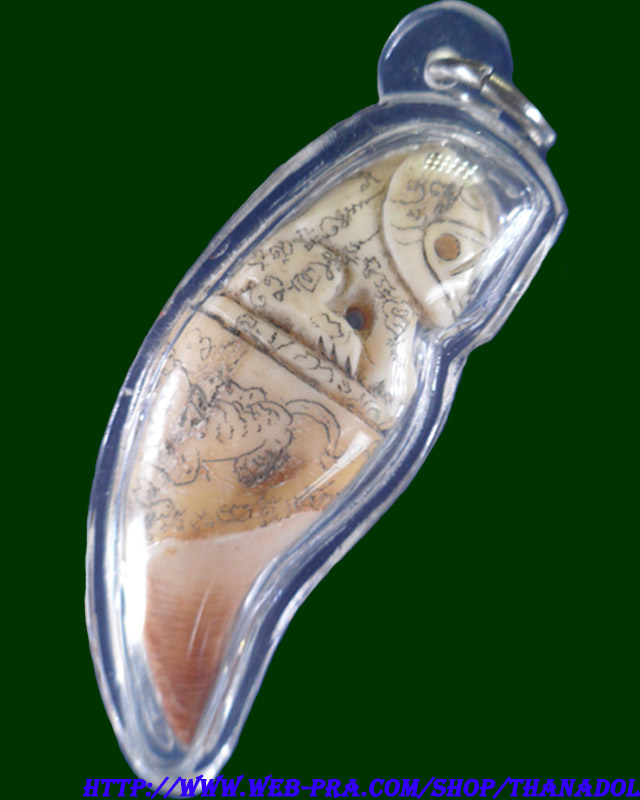 หลวงปู่กาหลงเขี้ยวแก้ว วัดเขาแหลม จ.สระแก้ว เขี้ยวหมีแกะ รุ่นมหาบารมี ปี2548  