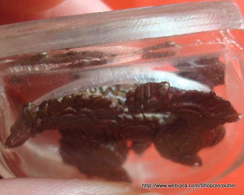 สิงห์ หลวงพ่อพูล วัดไผ่ล้อม นครปฐม