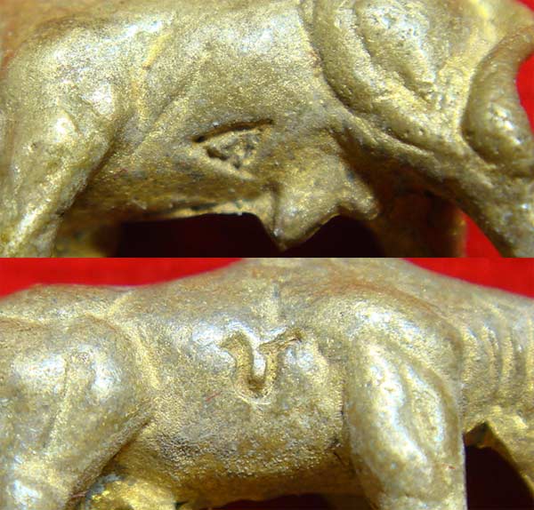 วัวธนู หลวงพ่อแช่ม วัดดอนยายหอม มีโค๊ด