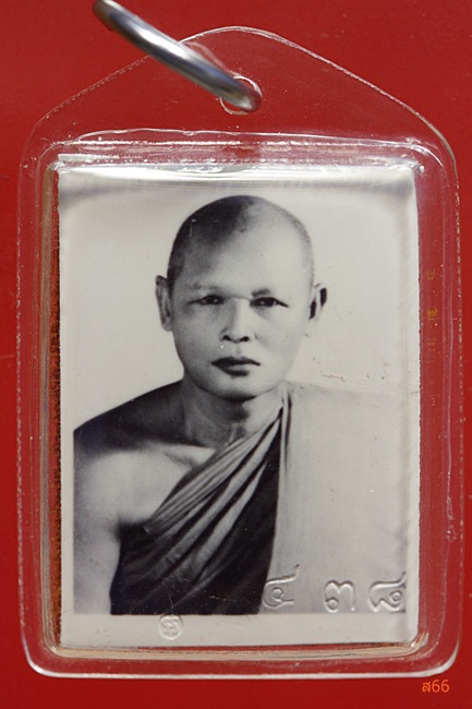 รูปถ่ายหลวงพ่อแพ วัดพิกุลทอง หลังจีวร