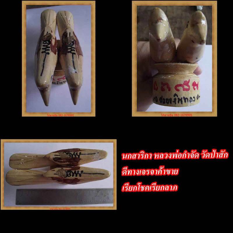 นกสาริกา หลวงพ่อกำจัด วัดป่าสัก