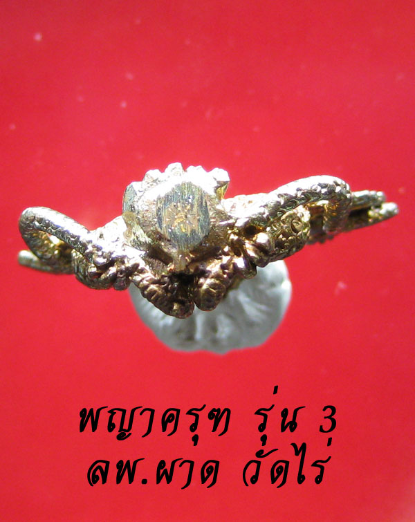 (29) พญาครุฑเพิ่มยศ รุ่น 3 (รุ่นสุดท้าย) หลวงปู่ผาด วัดไร่ อ่างทอง