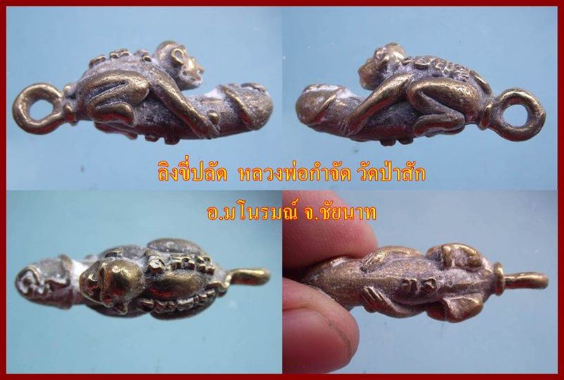 ลิงขี่ปลัด หลวงพ่อกำจัด วัดป่าสัก