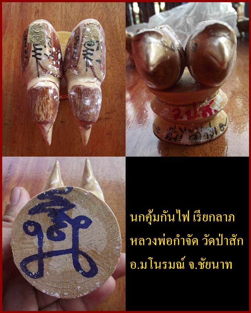 นกค้มกันไฟ หลวงพ่อกำจัด วัดป่าสัก