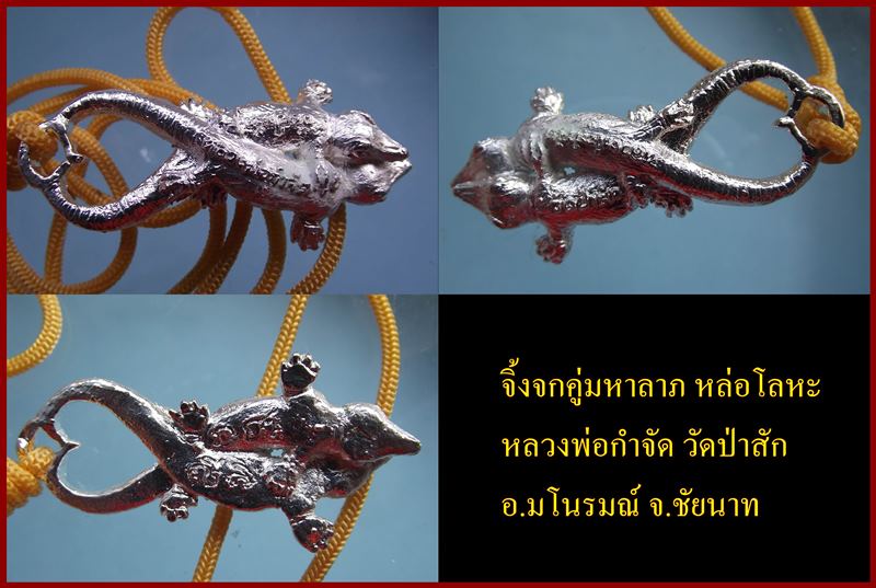 จิ้งจกคู่ หลวงพ่อกำจัด วัดป่าสัก