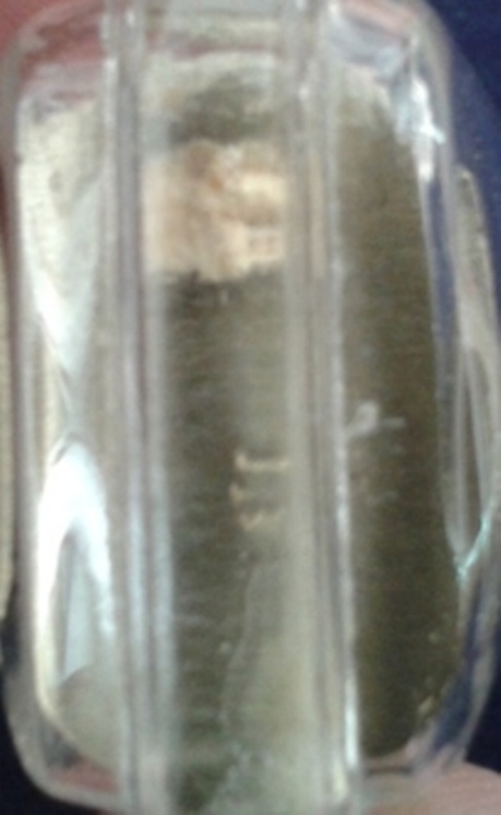 เสือหล่อรุ่นแรก หลวงพ่อตัด วัดชายนา เพชรบุรี