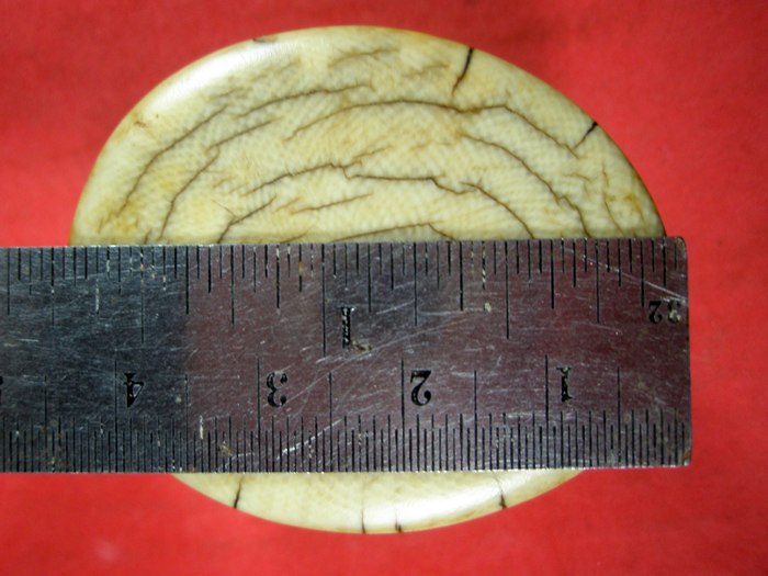 งาช้างเก่า ยาว 3 ช.ม ก้วาง 4.5ช.ม