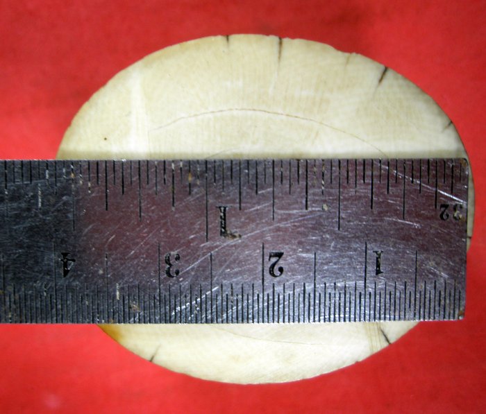 งาช้างเก่า ยาว 3 ช.ม ก้วาง 4.5ช.ม