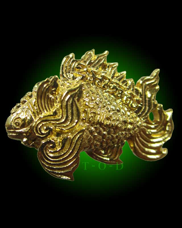 ปลาตะเพียนทิพย์ หลวงปู่ทิม วัดพระขาว