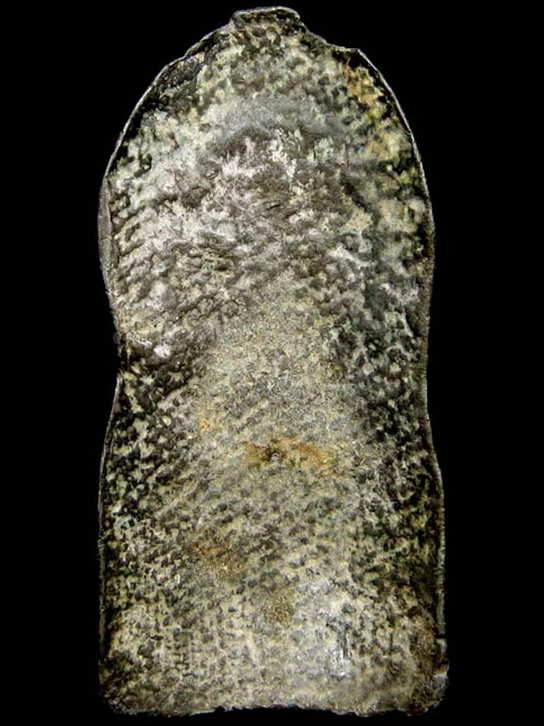 พระเครื่อง พระนาคปรก พิมพ์ชีโบใหญ่ กรุวัดพระศรีมหาธาตุ ลพบุรี 