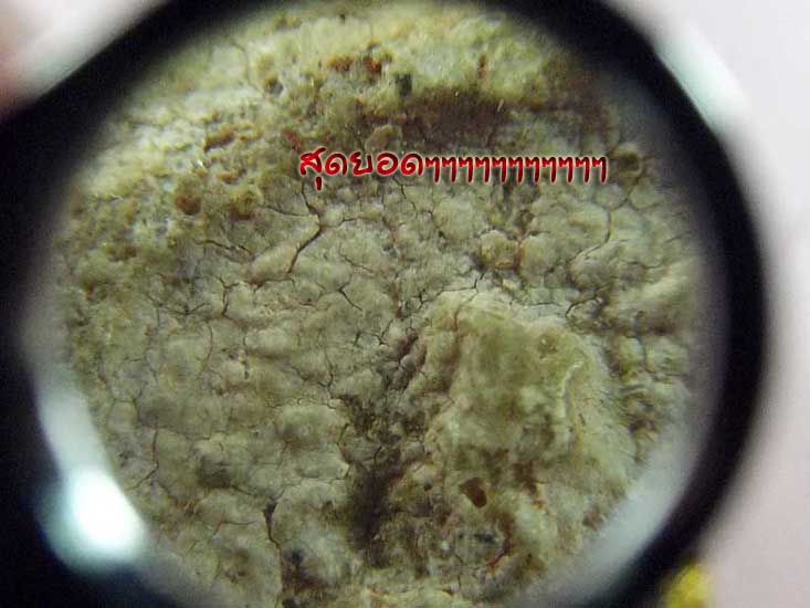 กล้อง** leika15*18mm** สีทองไมครอน(MAND IN GERMAN) เลนส์แก้ว3ชั้นเคลือบมัลติโค๊ดตัดแสงพร้อมซองหนังแล