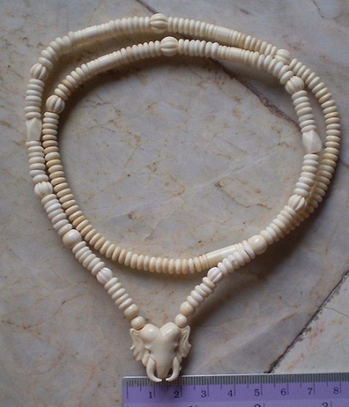 สร้อยงาช้างล้วน  ห่วงกลางหัวช้าง   เคาะเดียว 