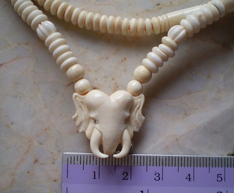 สร้อยงาช้างล้วน  ห่วงกลางหัวช้าง   เคาะเดียว 