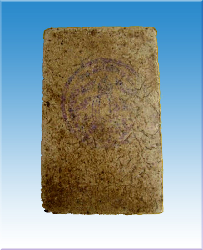 My Image 7