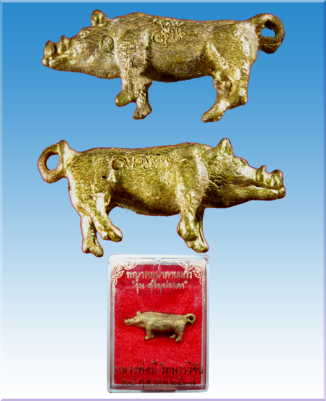 พญาหมูป่าคาบแก้ว หลวงพ่อมี วัดมารวิชัย ปลุกเสกพิธีสุริยุปราคา เมื่อ พ.ศ. 2538