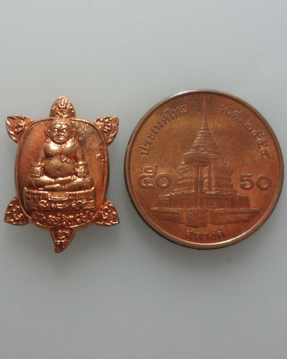 *** กรุงเทพฯ *** เต่าจิ๋ว วัดสุทัศน์ (50฿)