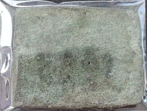 พระแผง 10 เนื้อชิน ไม่ทราบที่