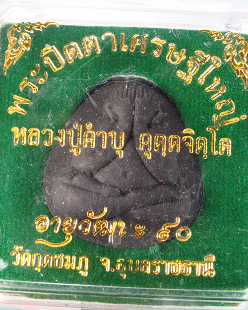 หลวงปู่คำบุ วัดกุดชมภู อายุวัฒนะ ๙๐