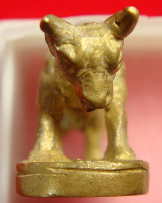 วัวธนู หลวงพ่อแช่ม วัดดอนยายหอม มีโค๊ด