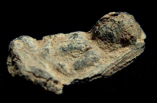 เชตุพน หน้าโหนก ชินเงินองค์ครูแห่งกรุสุโขทัย