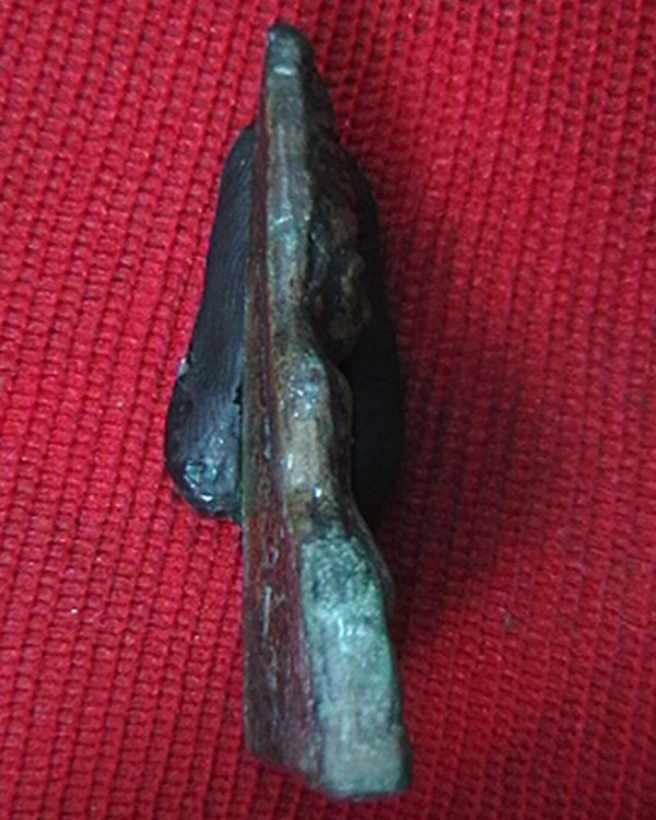 เหรียญหลวงพ่อแช่ม วัดดอนยายหอม หันข้าง  ปี ๓๖  สวย ผิวเดิมๆครับ