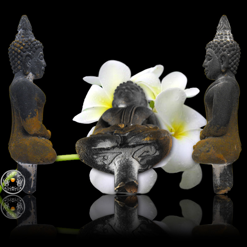 พระยอดธง นำฤกษ์ เนื้อนวะโลหะ หลวงพ่อตัด วัดชายนา ปี 2551