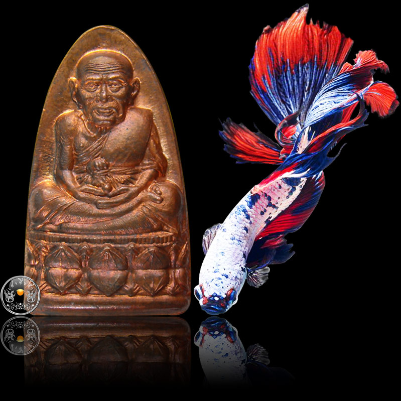 หลวงปู่ทวดหลังเตารีด รุ่น "ชนะคน" เนื้อทองแดง (พิมพ์เล็ก) เสกวัดช้างให้-วัดทรายขาว-วัดสุทัศน์ฯ 2538